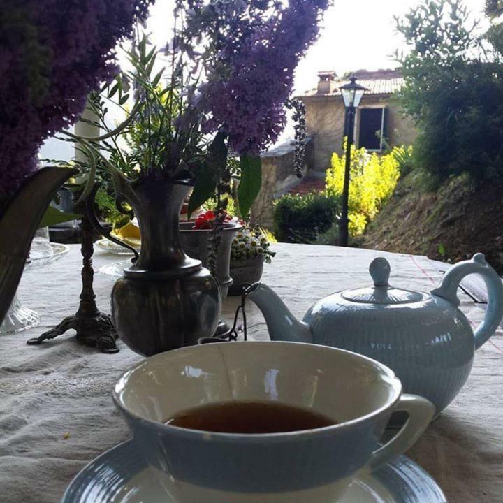 Casa Emilia Villa Stazzema Luaran gambar