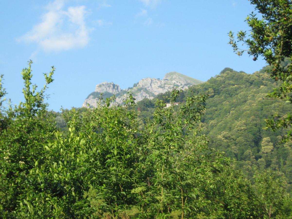 Casa Emilia Villa Stazzema Luaran gambar